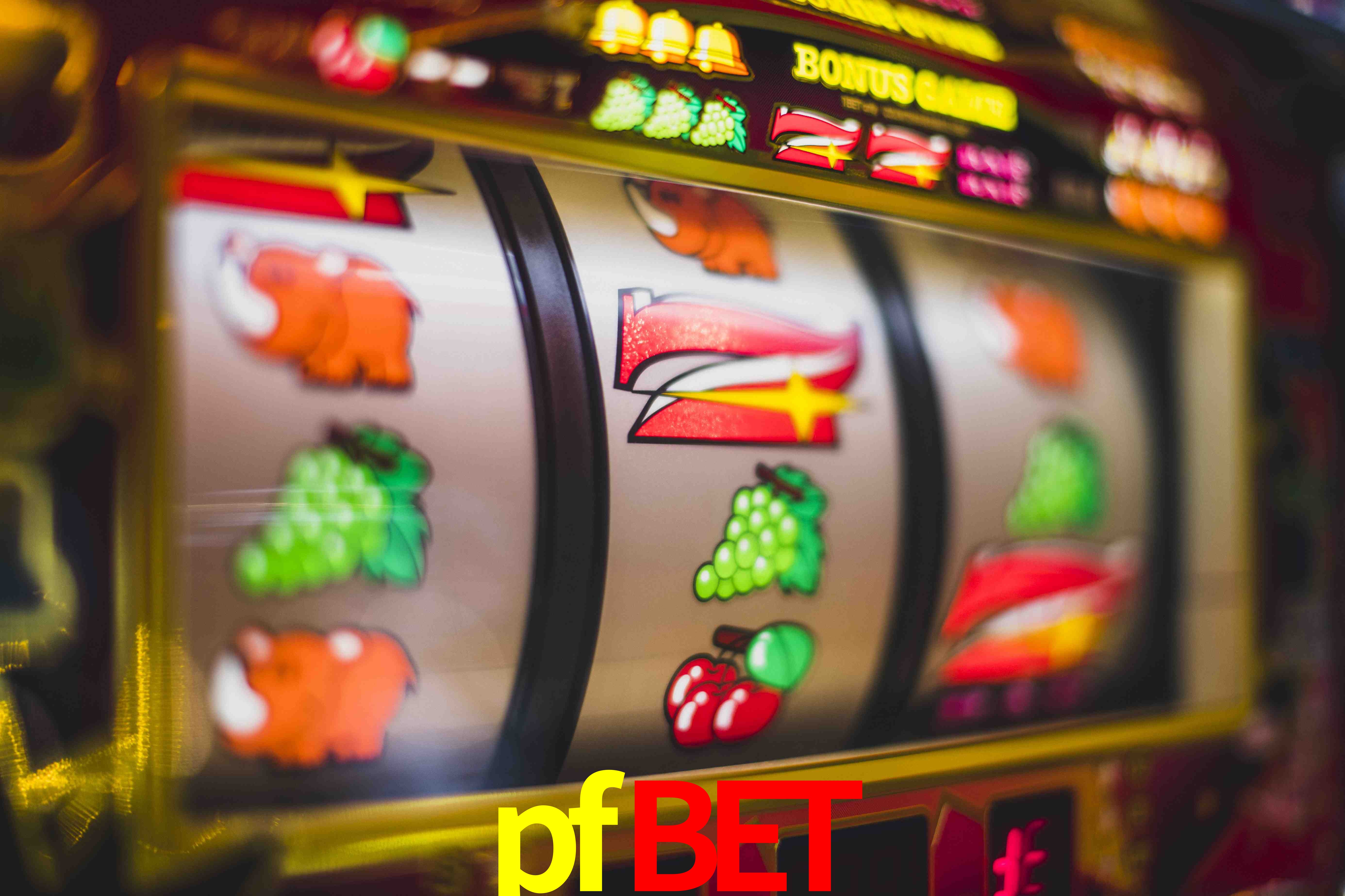 Tennis Betting pfbet